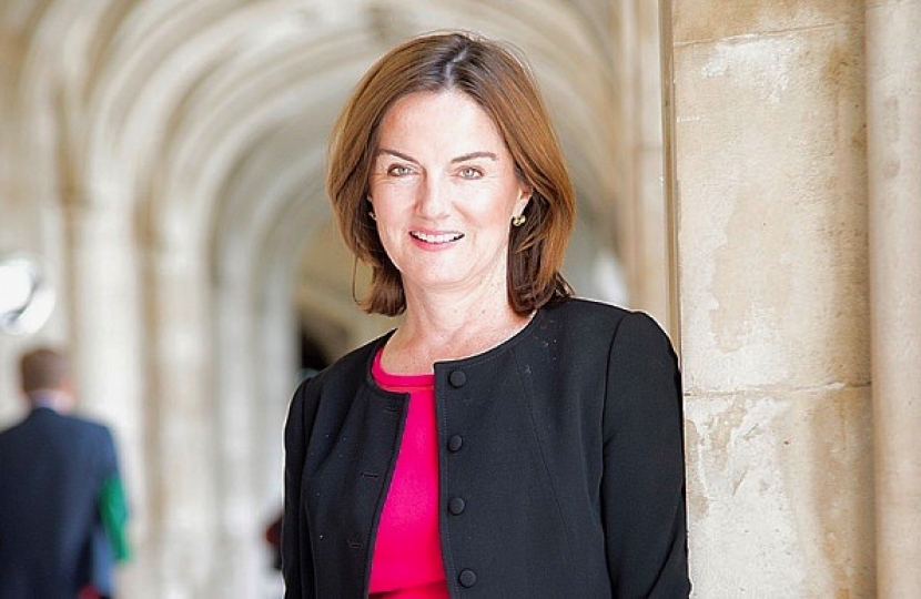 Lucy allan in Parliament 