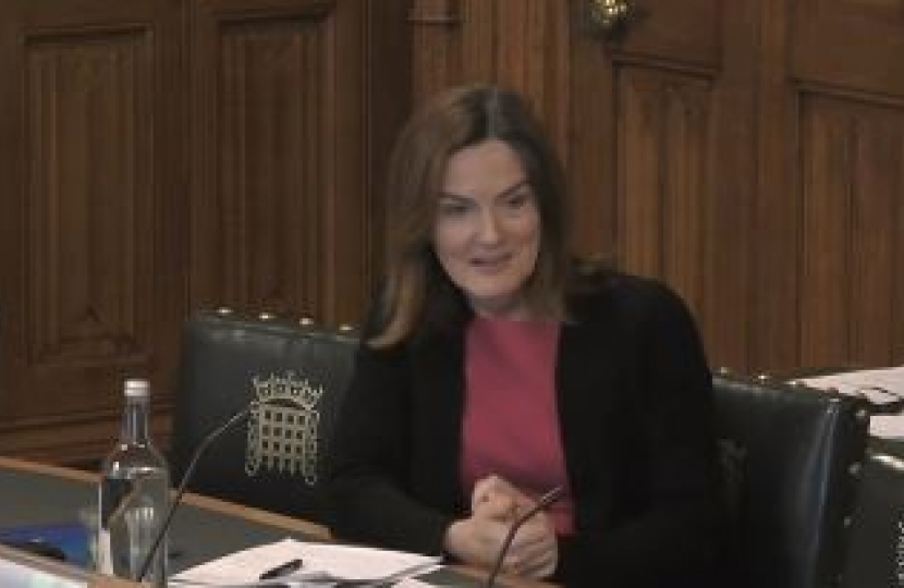 Lucy Allan MP