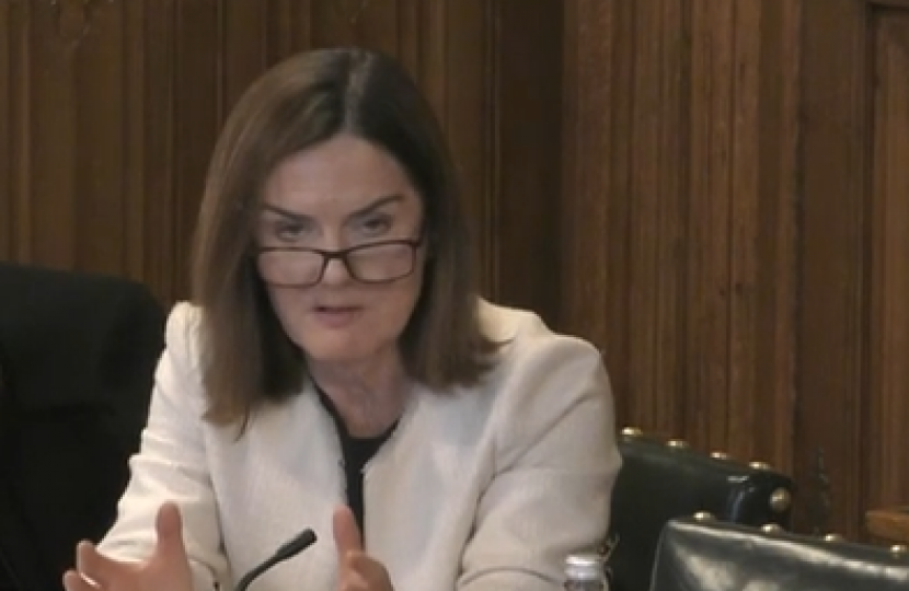 Lucy Allan MP