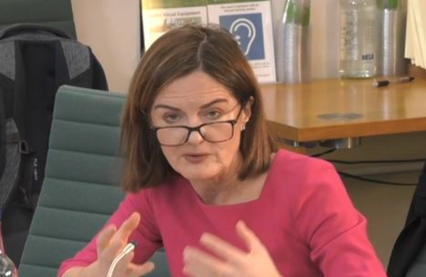 Lucy Allan MP