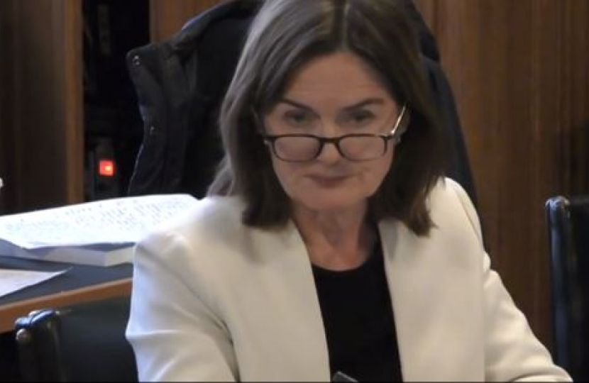 Lucy Allan MP